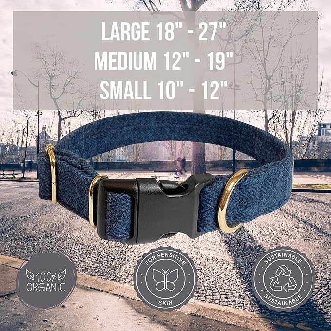 Pawsitive Wool Dog Collar - Hypoallergenic Dog Collar, Great Dog Collar for Sensitive Skin, Soft Collar for Dogs, Soft Organic Dog Collar Eco-Friendly (Medium, Blue & Leash)