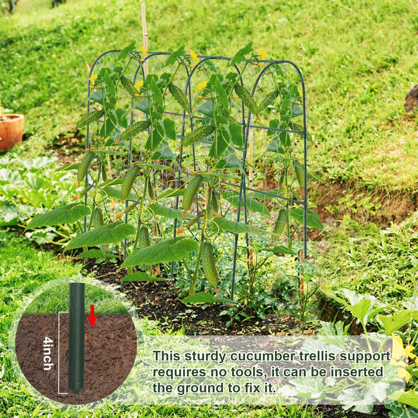 Cucumber Trellis for Raised Bed,U-Shape Garden Trellis for Climbing Plants Outdoor, Metal Arch Trellis for Vegetables, Plant Support for Vine,Tomato, Pea (Green, 49.6" L×30" W×47.2" H)