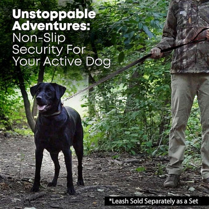 Regal Dog Products Medium Black Waterproof Dog Collar and Leash Set | Heavy Duty Double Buckle & D Ring - 5'ft Leash | Adjustable Biothane Dog Collar | Chew Resistant Waterproof Collar for Dogs