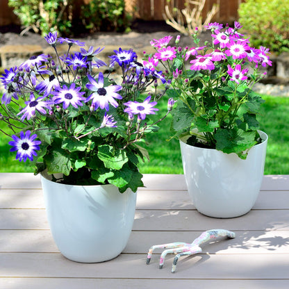 Youngever 6 Pack 7.5 Inch Plastic Planters Indoor Flower Plant Pots, Modern Decorative Gardening Pot with Drainage for All House Plants, Flowers, Herbs (Modern)