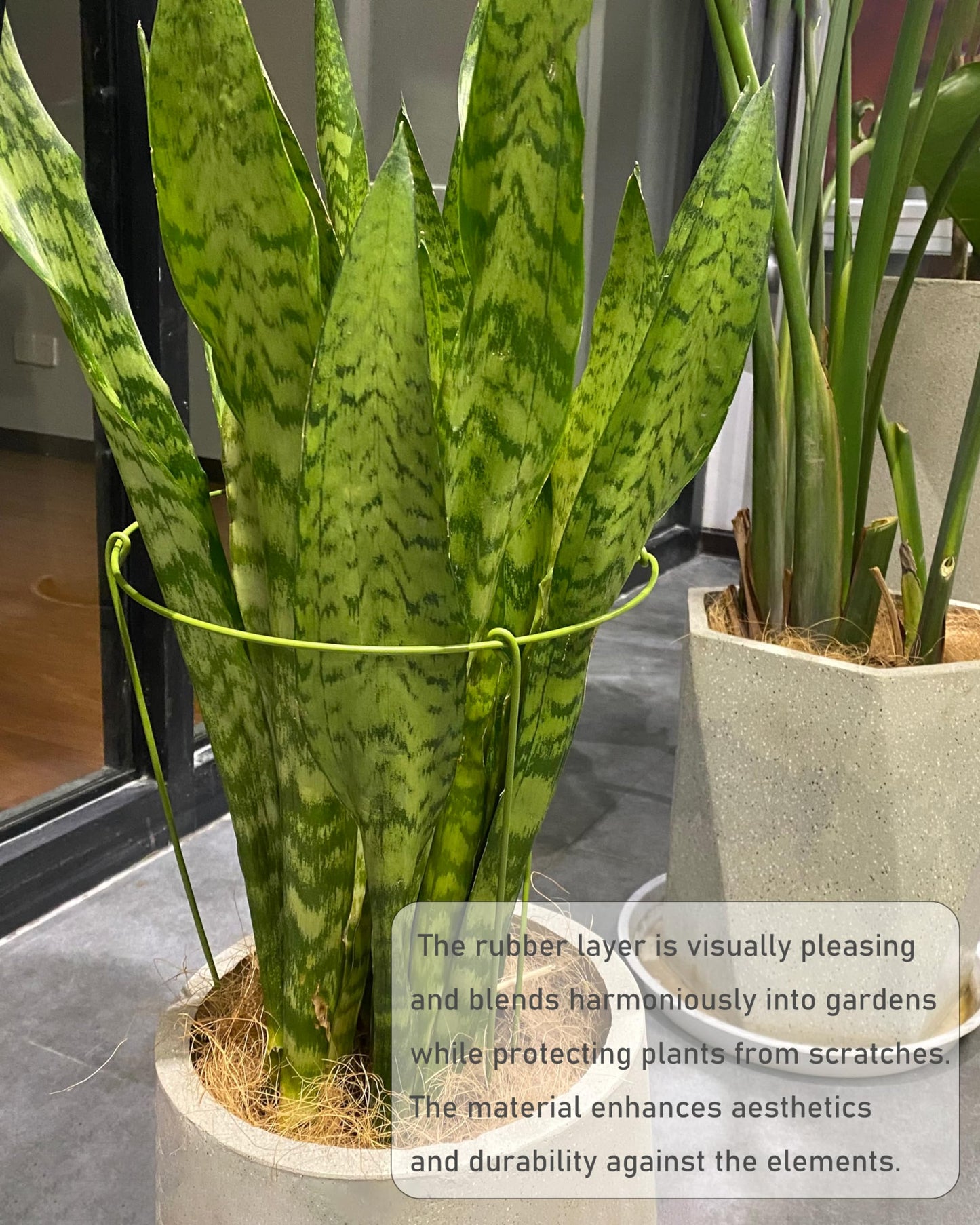 3 Pack Plant Support Stakes, Adjustable Plant Ring Cages with Green Rubber Wrapping, Ideal for Orchids, Indoor and Outdoor Potted Plants, 10" Wide x 17" High