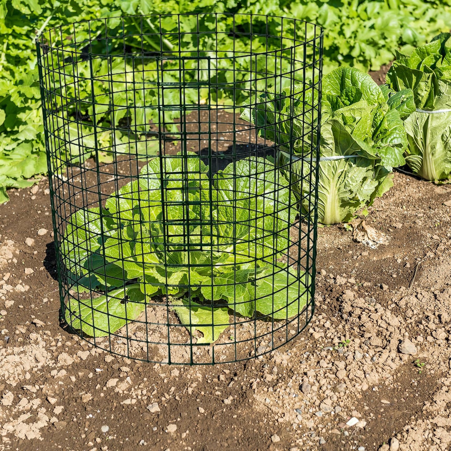Hyuetrsa 12 Pack Plant Protectors from Animals, 14'' Dia x 14'' H Wire Plant Protector Cage,24 Pcs Pre-Bent Metal Mesh Plant Cages to Keep Rabbits, Squirrels and Chicken Out with Zip Ties & Stakes