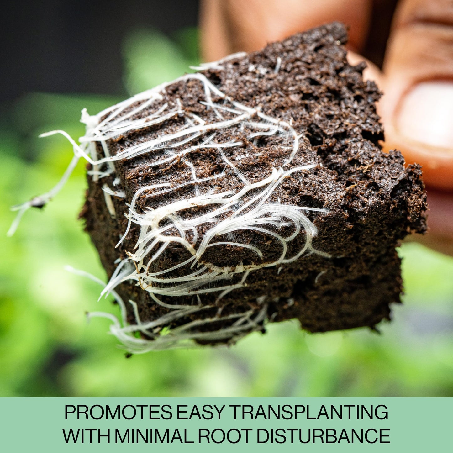The Hydroponic City Seed Starter Trays, 216-Cell Seedling Starter Trays (36 Trays - 6 Cells Each) + Plant Stakes