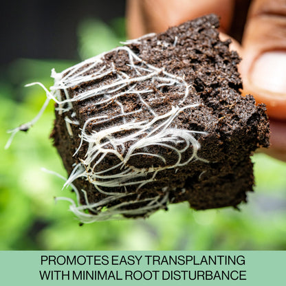 The Hydroponic City Seed Starter Trays, 216-Cell Seedling Starter Trays (36 Trays - 6 Cells Each) + Plant Stakes
