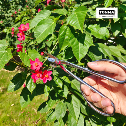 TONMA Satsuki Bonsai Scissors [Made in Japan] Professional 8.5 inch Garden Bonsai Tools Japanese Stainless Steel Hasami Pruning Scissors with Micro Serrated, Mirror Finish Process
