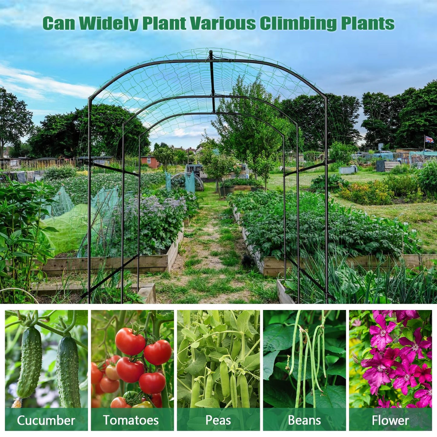 SUNYRISY Garden Arch Trellis, Metal Core Trellis for Climbing Plants Outdoor, 87" x 71" x 75" Tall Archway Tunnel Plant Support for Vine Cucumber Tomato Grape Vegetables Climbing Plants