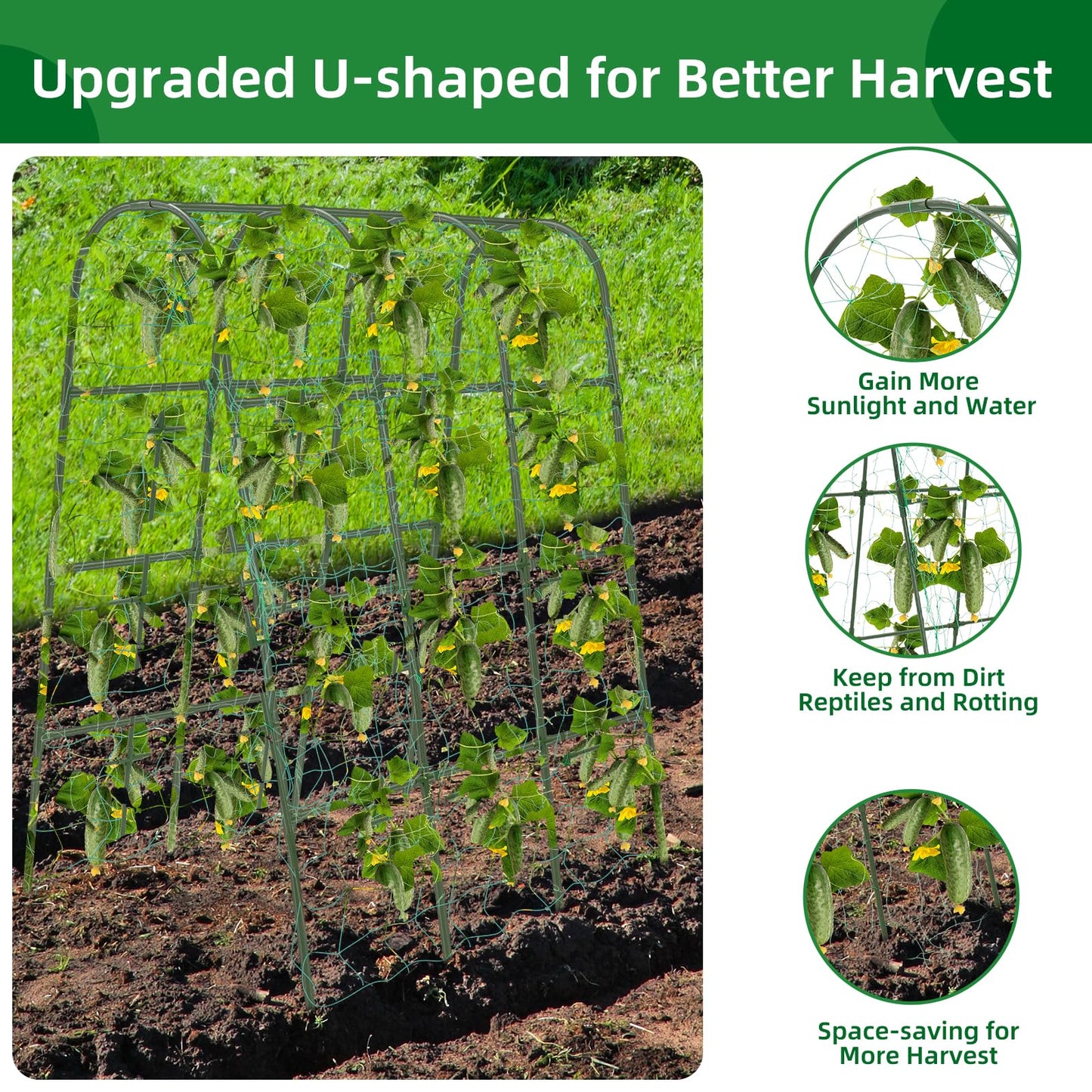 65"×50" Cucumber Trellis for Raised Bed,Tall Metal Arch Garden Trellis for Climbing Plants Outdoor,Vegetables,Plant Support Peas,Fruit,Flower,Grape,Tomato, Bean
