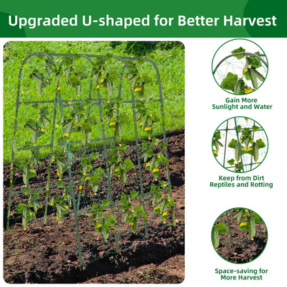 65"×50" Cucumber Trellis for Raised Bed,Tall Metal Arch Garden Trellis for Climbing Plants Outdoor,Vegetables,Plant Support Peas,Fruit,Flower,Grape,Tomato, Bean