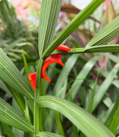 Engineered Essentials USA Made The Original 90 Degree Plant Trainer- for Low Stress Training (LST) and Plant Training