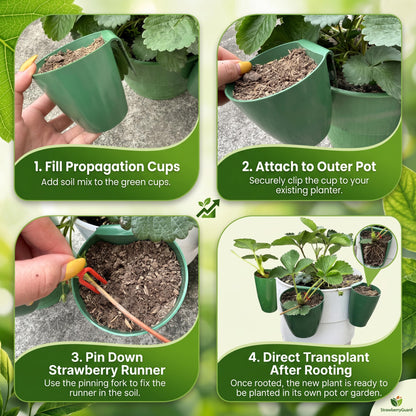 Ginwrek Strawberry Propagation Cups, 20 Pack Large Plastic Plant Cups with 50 Runner Forks Breathable Pots for Berry Plant Rooting, Space-Saving Hanging Design, S
