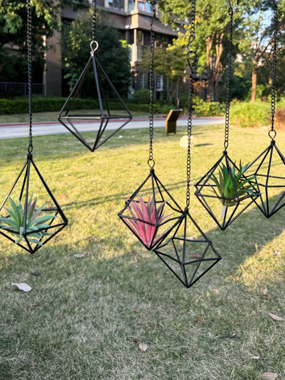 PUDAPU Clearance 6 Pack Hanging Metal Air Plant Holders with Chain, Black Geometric Tillandsia Air Plant Hanger Cages, 2 Styles Mini Iron Air Plants Live Holders for Home Office Garden Decor