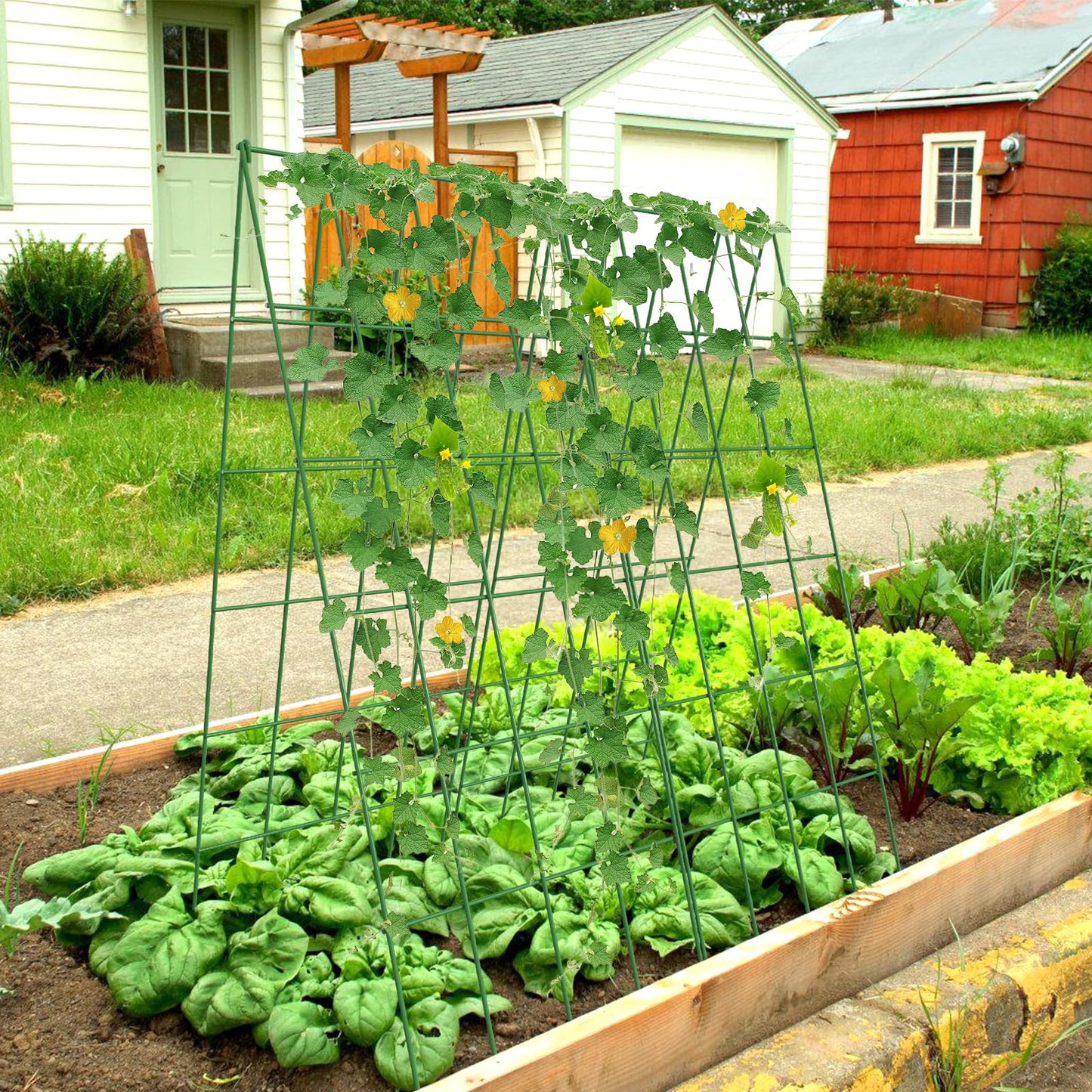 UrGROWA Cucumber Trellis 2 Pack, Foldable A-Frame Garden Trellis for Raised Bed Garden Grow Support with Plant Support Clips, Twist Ties, Plastic Ties, for Cucumber,Tomato, Climbing Plants and Flowers