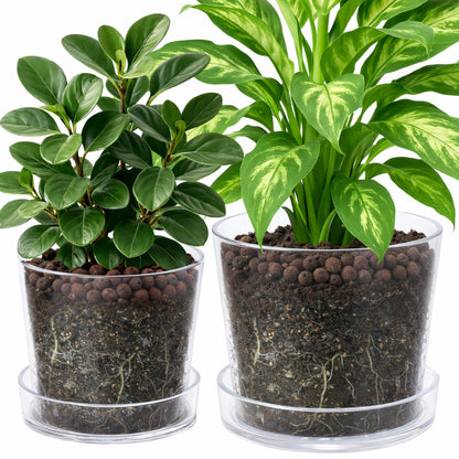 Phoenix Vine 8 Inch 10 Inch Clear Acrylic Houseplants Planter Pot with Tray, Orchid Pot with Drainage Holes, Deep Saucer for Bottom Watering, Transparent Containers for Indoor Plants, Herbs, 91-B-Y