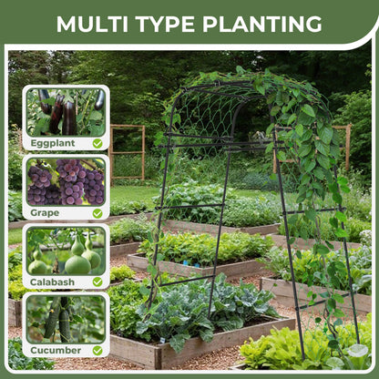 AlisisFores Garden Arch Plant Trellis for Climbing Plants Outdoor, Cucumber Trellis for Raised Bed, Grape Metal,Arbor Trellis Plant Support Flower Vegetables,Tomato Black,6.7FT Rust-Proof