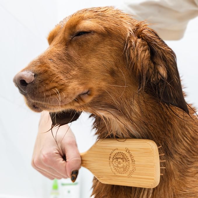 Doggy Style Large Bamboo Dog Brush, Deshedding & Detangling Grooming Brush for Medium & Large Dogs, Bamboo Pin Bristles, 9.5 Inch