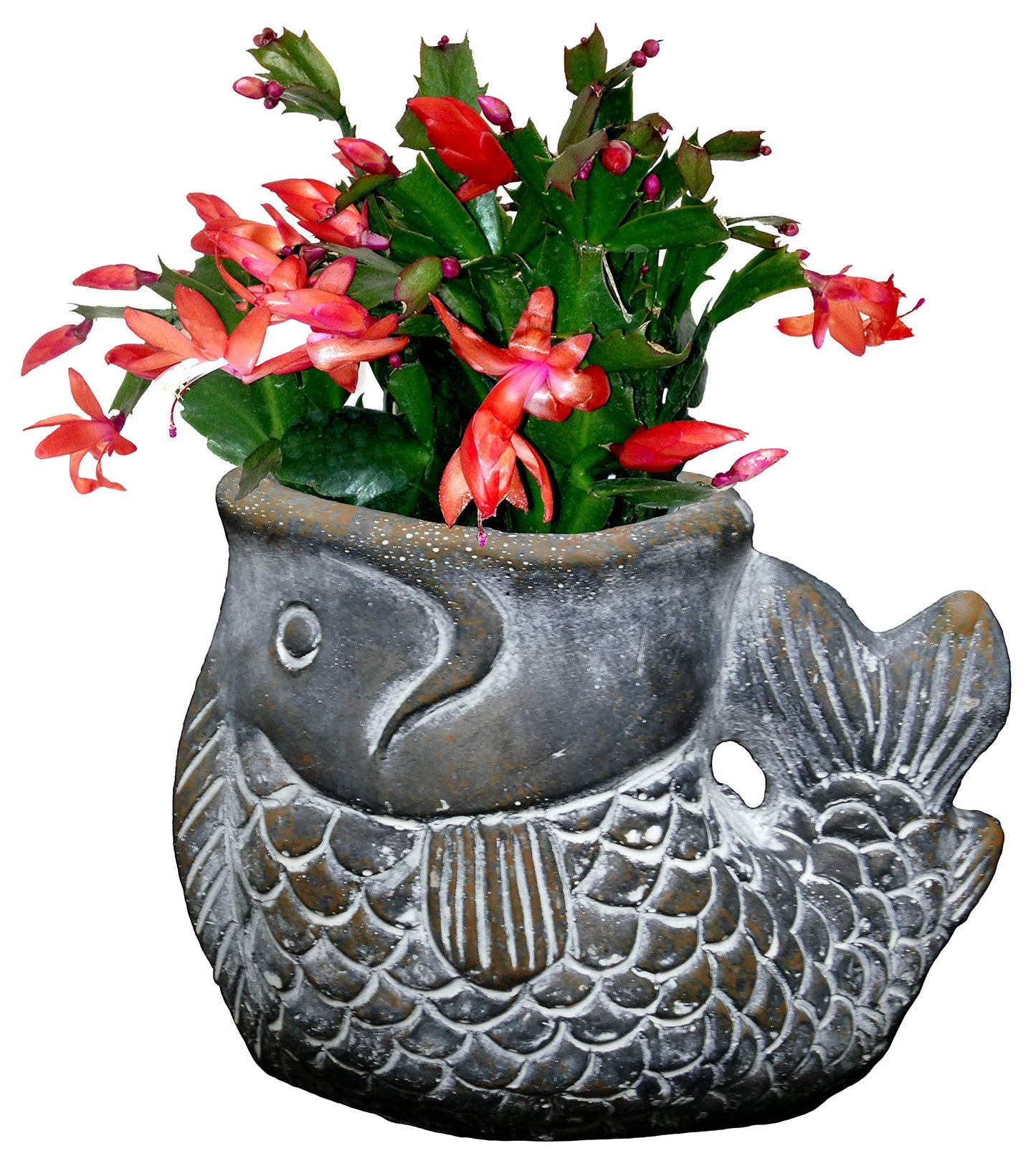 Classic Home and Garden Cement Buddies Animal Planter - Cute Desk Decoration - UV Coated Animal Vase w/Removable Drain Plug -Succulent Planter for Indoor/Outdoor Use (Largemouth Bass, Bronze, Small)