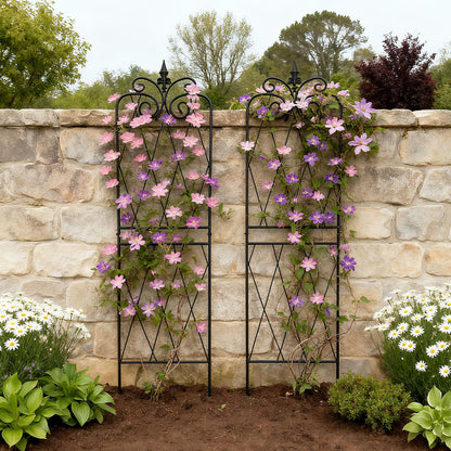 SCENDOR Garden Trellis for Climbing Plants 59inch x15inch Rustproof Metal Vine Trellises for Outdoor Climbing Plants Support Structures A (150cm) 2Pack