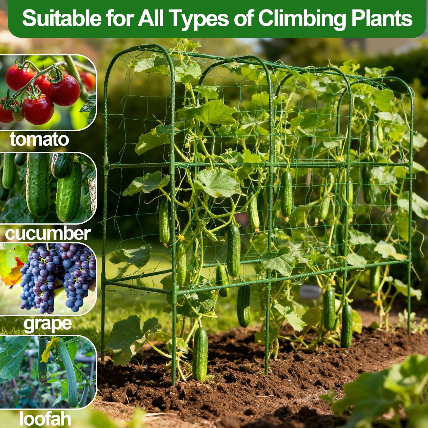 Garden Cucumber Trellis for Climbing Plants, Outdoor Metal Garden Arch Trellis, Plant Support for Vegetables Tomato Trellis Raised Garden Bed (Green, 47.2" Lx21.6 WX47.2 H-M)