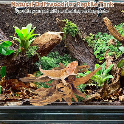 PINVNBY Natural Driftwood for Aquarium Decor Fish Tank Decorations Reptile Decor Driftwood Decor, 3 Pieces 7"-11" Assorted Driftwood Branch