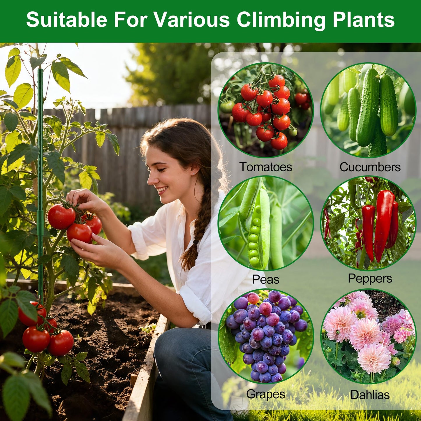 WAENLIR Garden Stakes16 Inch 72 Pack, Tomato cage DIY 4ft 5ft 6ft 7ft 8ft Plant Support Stakes with Connectors and Clips, Plastic Coated Metal Sticks for Tomato Indoor Outdoor