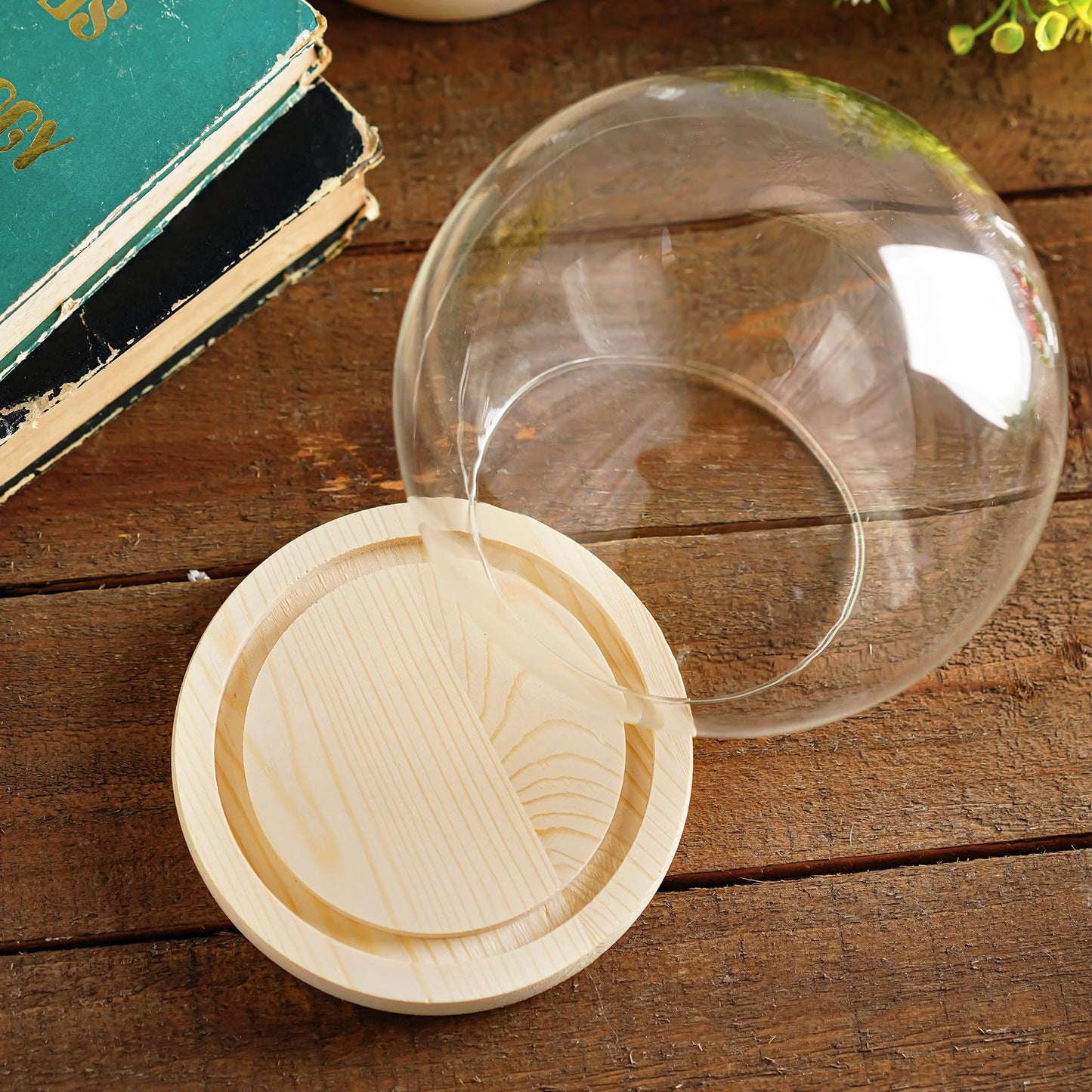 ZEERSHEE Round Globe Cloche Glass Dome with Wooden Base, 6" Glass Display Dome for Succulents, Plants & Keepsakes, Decorative Sphere Cloche Bell Jar for Collectibles & Home Decor