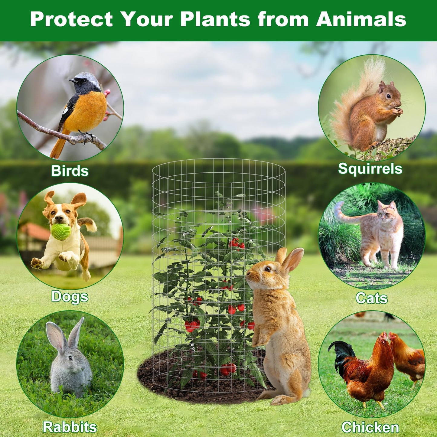 winemana 12 Set Garden Plant Protector Cage, 36 Pcs 16x12 IN Metal Wire Protectors for Plants Protection Cages with Stakes Nylon Ties Animals Barrier to Keep Rabbit Chicken Away from Flower Vegetables
