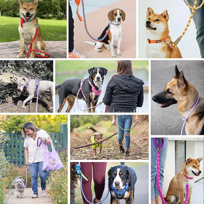Blueberry Pet Essentials Dog Leash, Puppy Essentials, Strong Rope Dog Leashes for Large Dogs Heavy Duty, 4ft, Comfortable Neoprene Handle, French Pink, Eco-Friendly, Water & Dirt Resistant