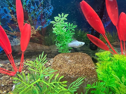 EcoBio-Block Natural Volcanic Rock for Aquarium Water Clarity & Balance — Low-Maintenance Alternative to Weekly Additives — for Freshwater Fish, Turtles, Shrimp & Frogs (Nano 2-Pack, 0.8-1.5 gal ea.)