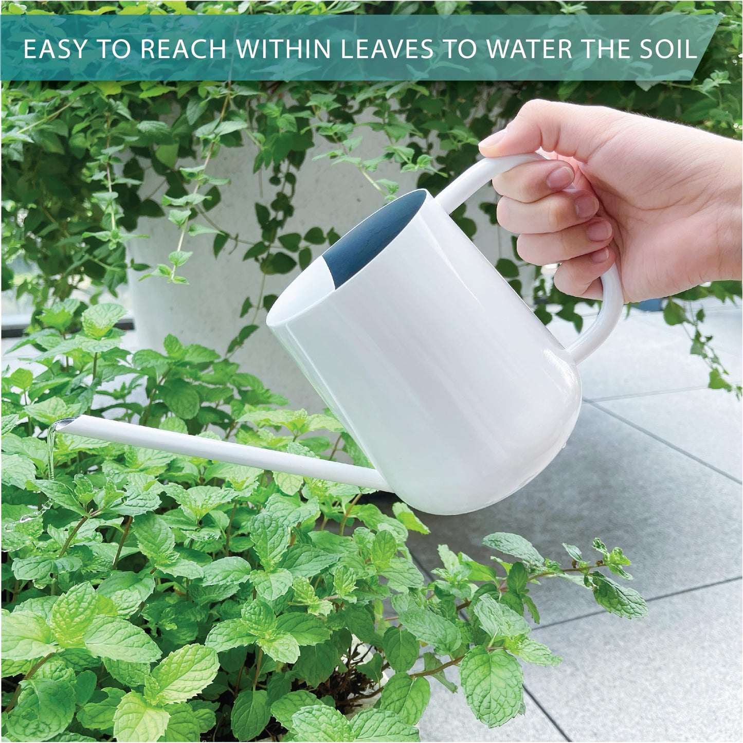 LOOPSEED Metal Watering Can for Indoor Houseplants Outdoor Garden Long Sprout Water Can for Succulents Herb Bonsai Modern Garden Tool 33.8oz/1000ml (Brilliant White)