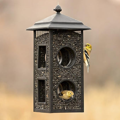 Perky-Pet Fly-Thru Wild Bird Feeder - 2 lb Capacity for Black-Oil Sunflower Seeds - Wild Bird Feeder for Outdoors - Outdoor Decor - B00303