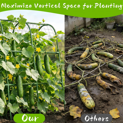 Heavy Duty Cucumber Trellis for Raised Bed, U-Shape Garden Trellis for Climbing Plants Outdoor, Metal Arch Vegetables Trellis, Plant Support for Grape Vine Tomato Pea Bean Squash (Green 48x48X32)