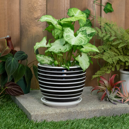 Napco Striped Black and White Ribbed 4 x 5 Inch Ceramic Flower Pot Planter with Saucer