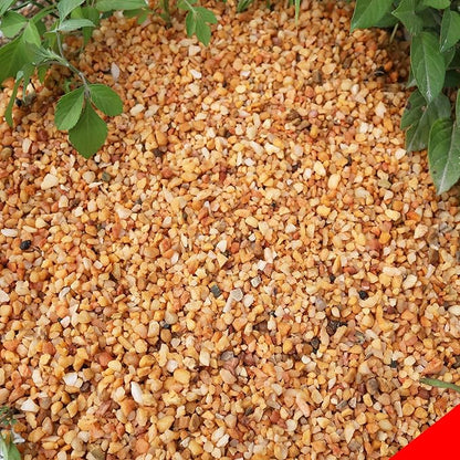 18lb Cactus Pea Gravel Rocks,1/5 Inch Pebbles for Indoor Plants, Natural Succulent Rock and River Rocks Decorative for Aquariums, Vases, Terrarium, Outdoor Gardening, Top Dressing for Potted Plants