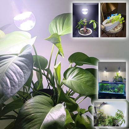 E26 A19 LED Plant Grow Light Bulbs Indoor Plants Full Spectrum,LED Sun Light Bulbs Plant Growing 100W Equivalent with Balanced Spectrum 5000K Red Blue Yellow for Seeds Greens Flower Fruit Garden,6Pack