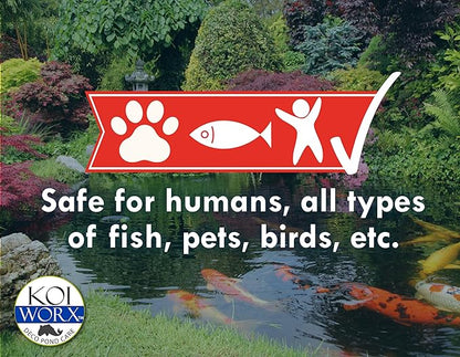 KoiWorx Muck Reducer, 145 Tablets Treats up to 6,000 Gallons of Water, Beneficial Bacteria Reduces Muck, Sludge and Organic Build up, Formulated for Ponds, Water Features and Safe for Koi