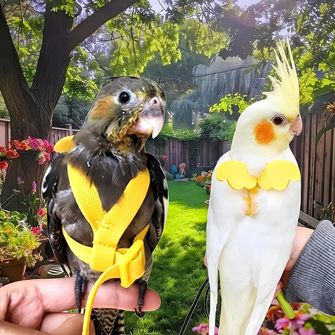 3 Sets Pet Parrot Bird Harness and Leash with Cute Wing, Adjustable Bird Flying Harness Straps Outdoor Training Traction Rope for Parrots Pigeons Lovebird Cockatiel(L,Pink, Yellow&Purple)