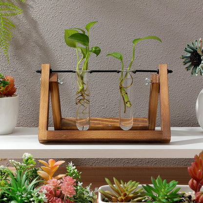 LIFKOME 5pcs Glass Test Tube Plant Vases 2.5x3x11cm Hydroponic Flower Tubes Propagation Station for Indoor Terrarium Gardening
