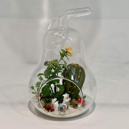 WGV Planter Terrarium, Width 5.5", Height 8", Clear Unique Pear Glass Vase Conatiner, DIY Planter Votive Candle Holder for Home Office Garden Decor, 1 Piece