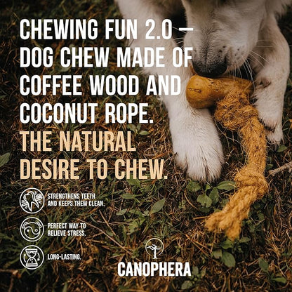 Canophera Dog Chew Coffee Wood and Coconut Rope Toy for Healthy Teeth and Gums Size Small - All Dog Breeds