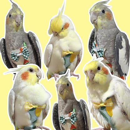 VANFAVORI Bird Diaper Harness Flight Suit Clothes with 80 Inch Flying Leash Rope for Parrots Conure Cockatiel Pet Birds Weight 80-105 Grams, M Size Yellow, Including A Cotton Pad