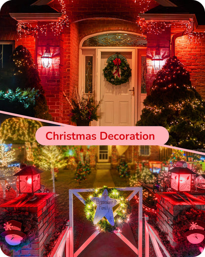 EDISHINE Red LED Light Bulbs, 100W Equivalent, E26 Base A19, 4 Pack, Plastic for Christmas Decoration