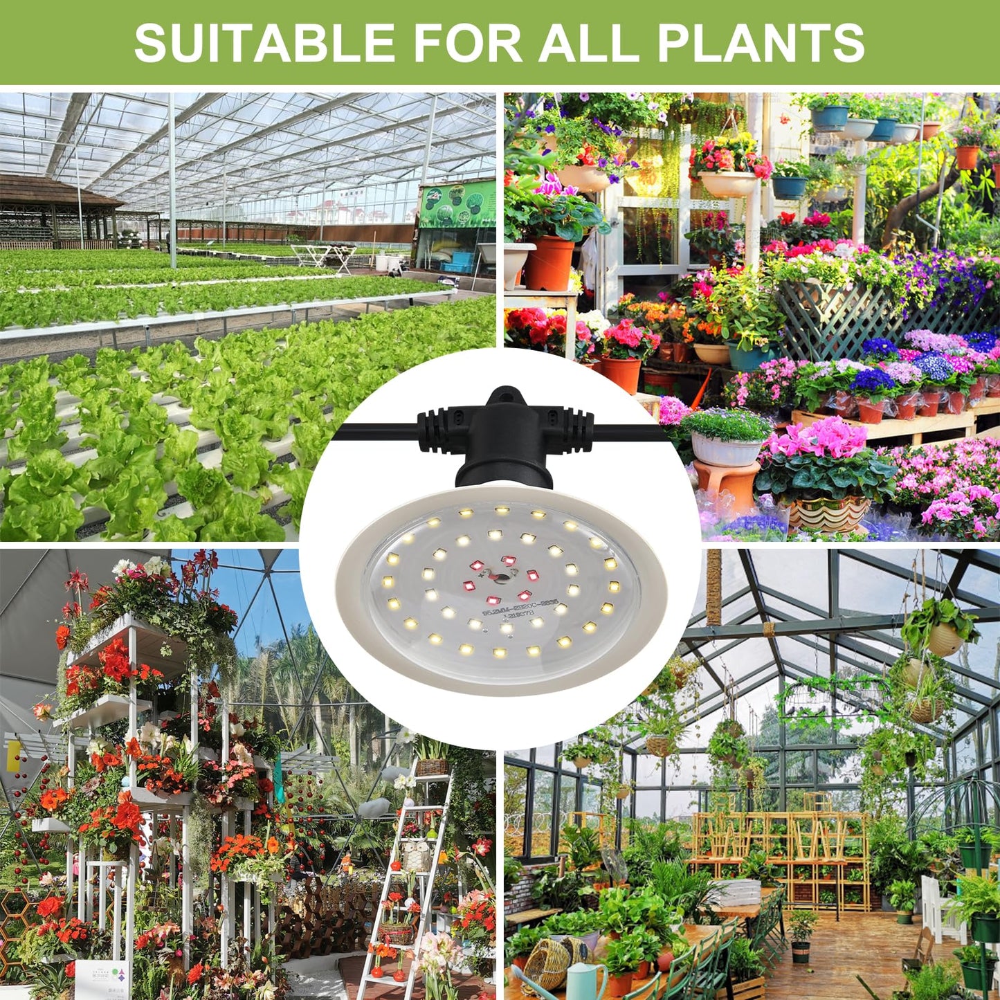 AuraQify Outdoor Grow Lights for Plants, Full Spectrum Greenhouse Grow Light, Outdoor Waterproof Appearance Patent Design, 22FT Adjustable Cord for Vegetables, Seedlings, Flowers (6 Lights)
