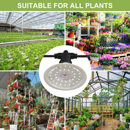 AuraQify Outdoor Grow Lights for Plants, Full Spectrum Greenhouse Grow Light, Outdoor Waterproof Appearance Patent Design, 22FT Adjustable Cord for Vegetables, Seedlings, Flowers (6 Lights)
