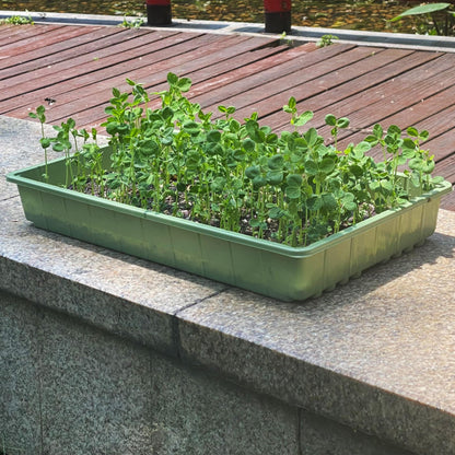 Mr. Pen- Seed Starter Trays, 10 Pack, 17"x10"x2.4", Durable Plastic Growing Trays, Stackable and Reusable Seedling Starter Kits for Indoor, Outdoor, Greenhouse Gardening, Planting, Hydroponic Systems