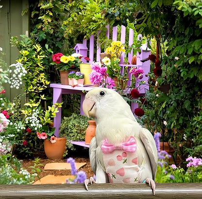 2 Pcs Bird Diapers Bird Harness Flight Suits Diapers with 80in Flying Leash Reusable Parrot Nappy with Waterproof Inner Layer for Cockatiel Budgie Conure Parakeet Lovebird-Blue&White