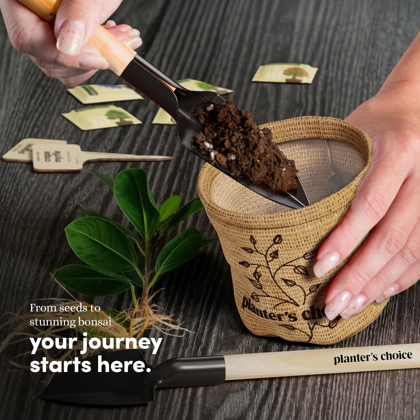 Planter's Choice Bonsai Tree Starter Kit - Birthday Gifts for Women, Men, Adults - Indoor Live House Plants - DIY Adults Craft Kits - Unique Hobby Gift Gardening Lovers - Gift Ideas Mom, Her, Friend