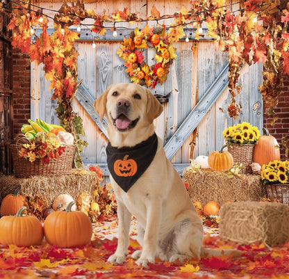 Fall Photo Backdrops for Photography, Pumpkin Thanksgiving Backdrop for Photoshoot, Orange Maple Leaves Harvest Friendsgiving Decorations 10x8ft
