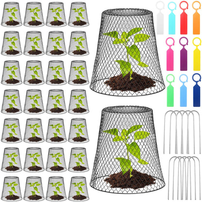 Geosar 30 Pcs 9 Inch Chicken Wire Cloche Plant Protector Cover Metal Garden Cloche Netting Protection Cages Vegetables Flowers with Garden Stakes Avoiding Chicken Rabbit Squirrels Birds (Black)