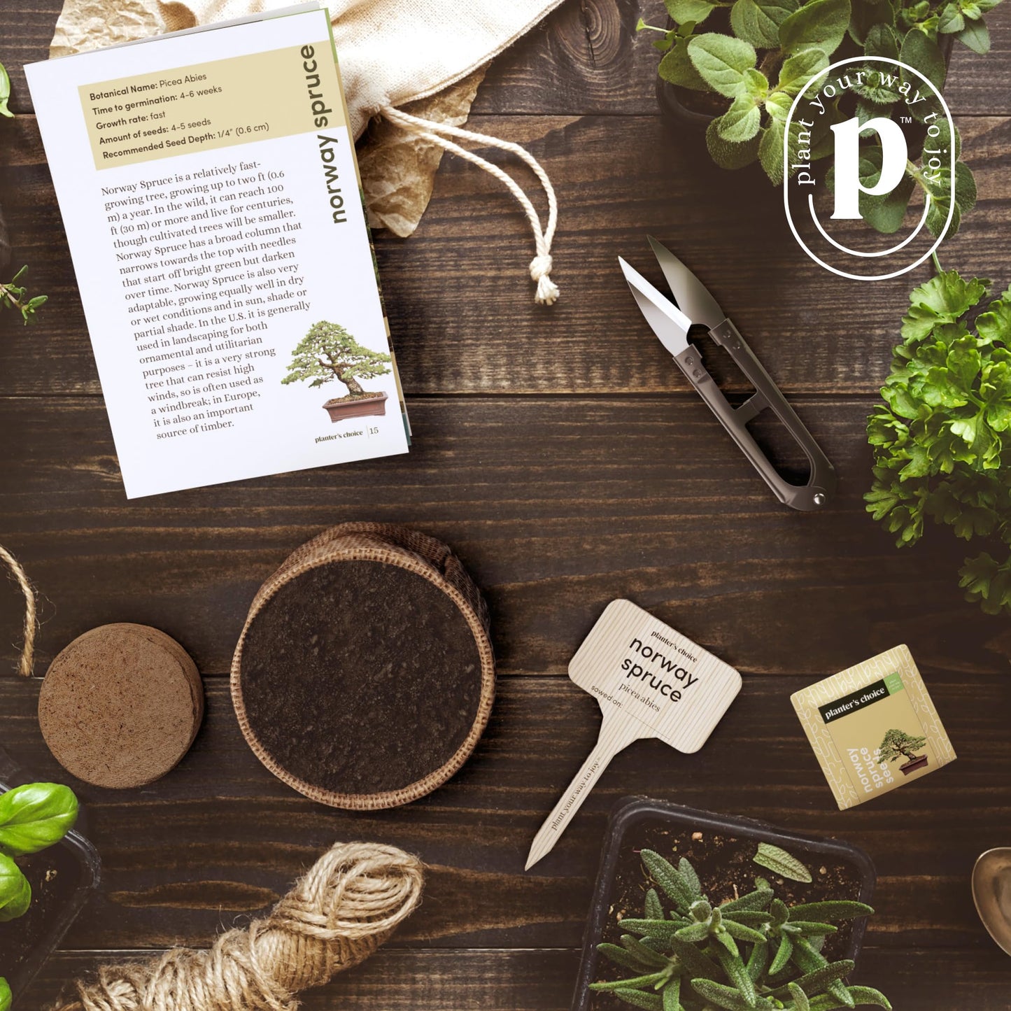 Planter's Choice Bonsai Tree Kit for Beginners & Plant Lovers - Grow Your Own Bonsai from Seed, 4 Species Starter Kit with Burlap Pots, Shears, Soil Disc, Markers & Guide, Gift for Mom or Grandma