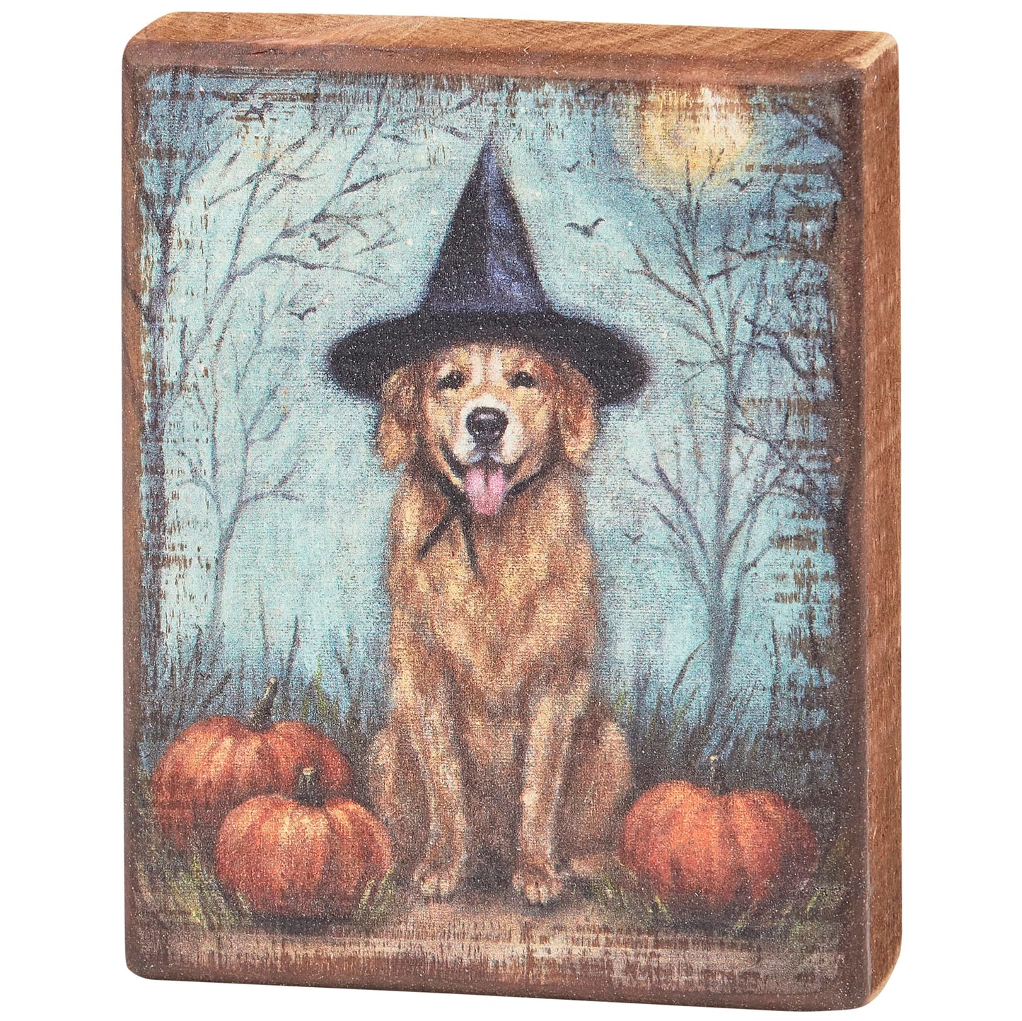 Primitives by Kathy Home Décor Sign - Dog As A Witch Block